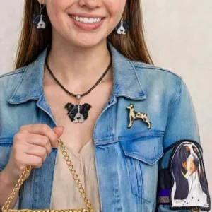 Accesorios Pet