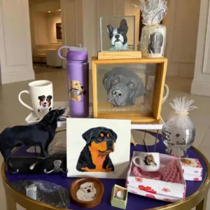 Universo living Pet